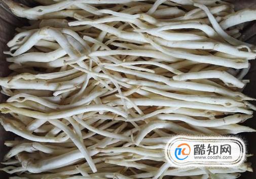 雾霾天吃哪些食物能够很好的清肺?优质
